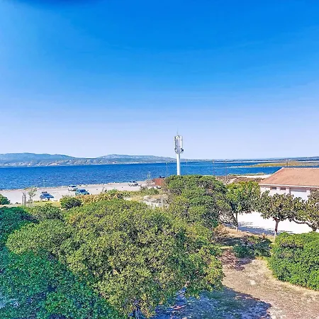 Palmyra-10 By Interhome