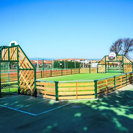 Palmyra-10 By Interhome